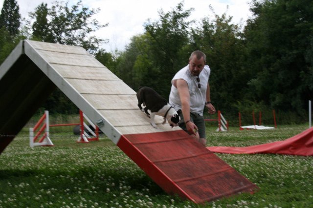 agility 2009-07-14