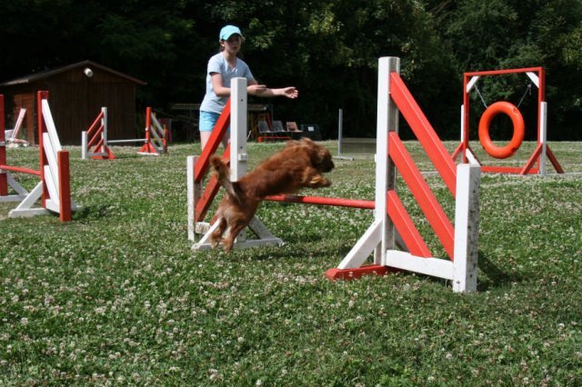 agility 2009-07-14