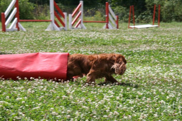 agility 2009-07-14