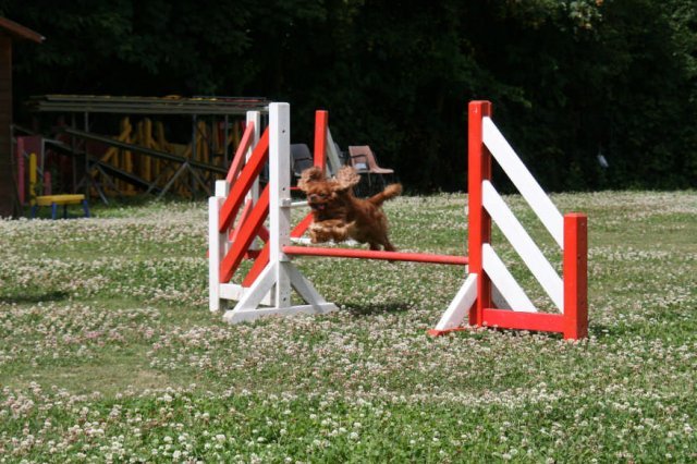 agility 2009-07-14