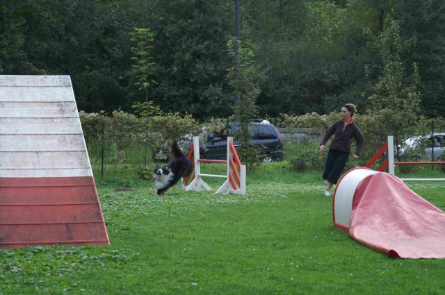 agility 2011-09-20
