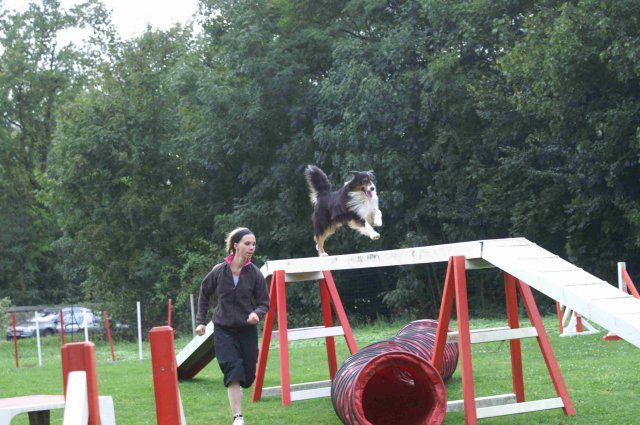 agility 2011-09-20