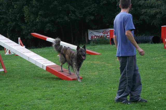 agility 2011-09-20