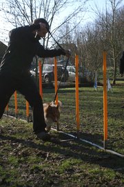 entrainement 02-03-2014