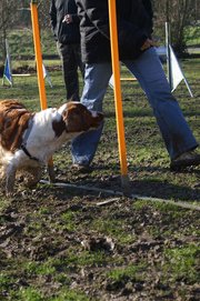 entrainement 02-03-2014