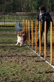 entrainement 02-03-2014