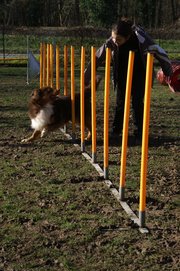 entrainement 02-03-2014