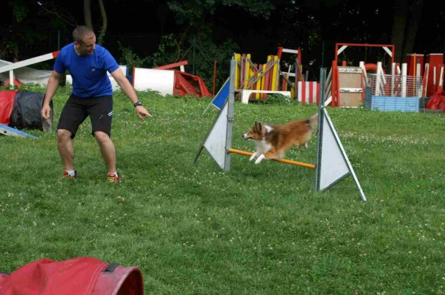 agility 2014-08-14