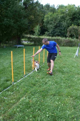 agility 2014-08-14