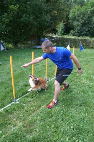 agility 2014-08-14