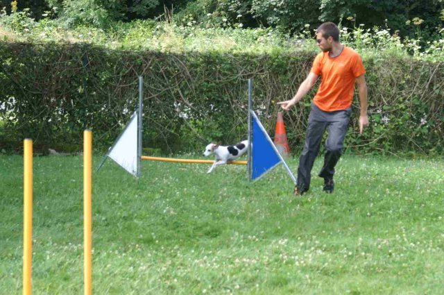 agility 2014-08-14