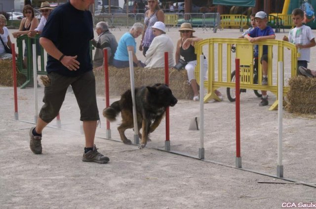2009-08-30-vert-le-grand