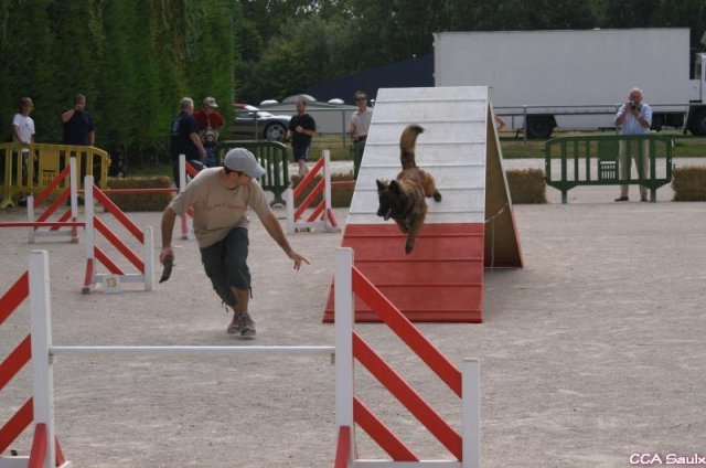 2009-08-30-vert-le-grand