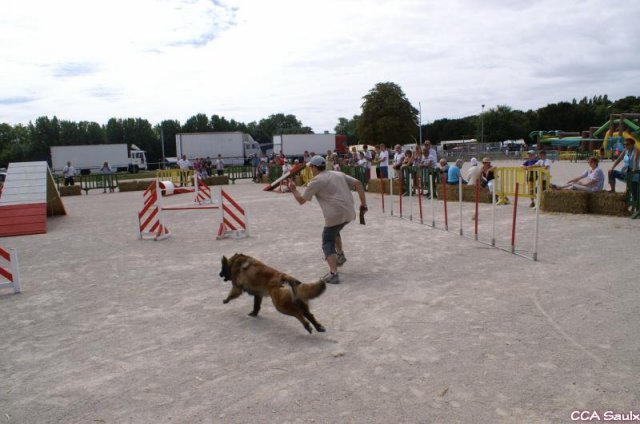 2009-08-30-vert-le-grand