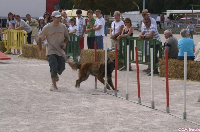 2009-08-30-vert-le-grand