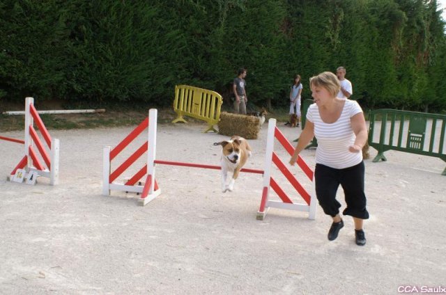 2009-08-30-vert-le-grand