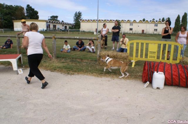 2009-08-30-vert-le-grand