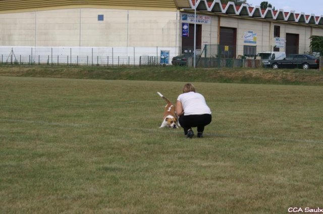 2009-08-30-vert-le-grand