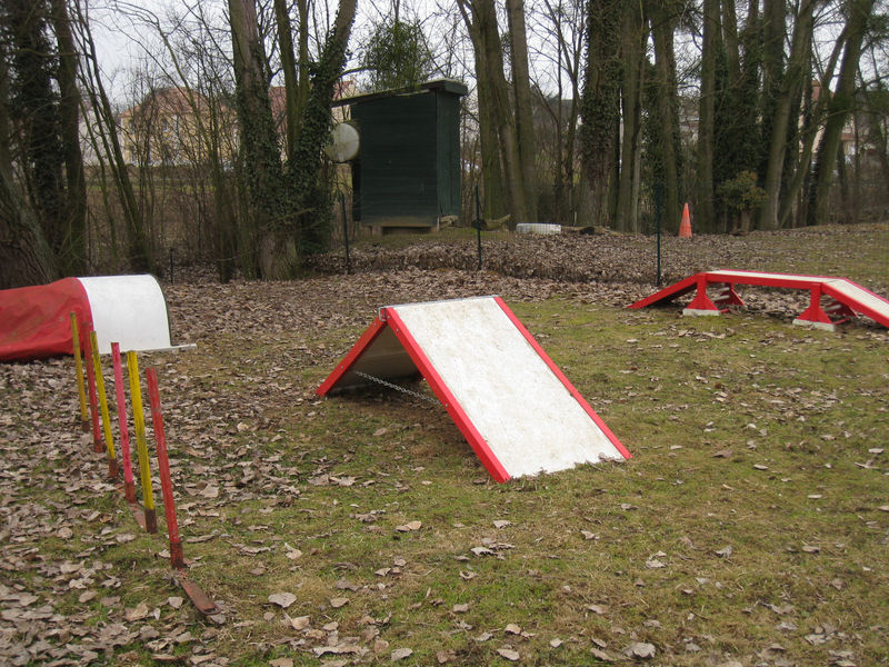 Parcours initiation chiot parcours chiot1