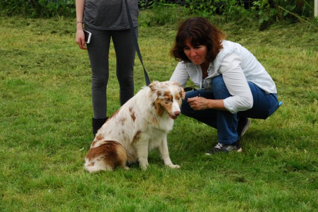 fête du club 18-06-2016