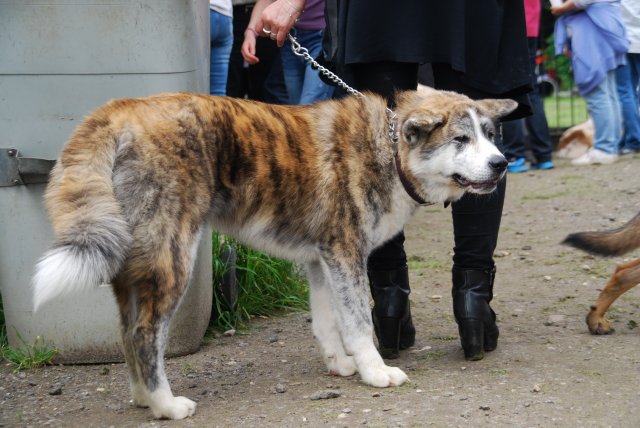 fête du club 18-06-2016