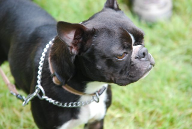 fête du club 18-06-2016