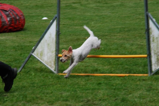 fête du club 18-06-2016