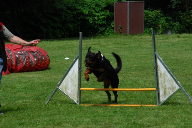 fête du club 18-06-2016