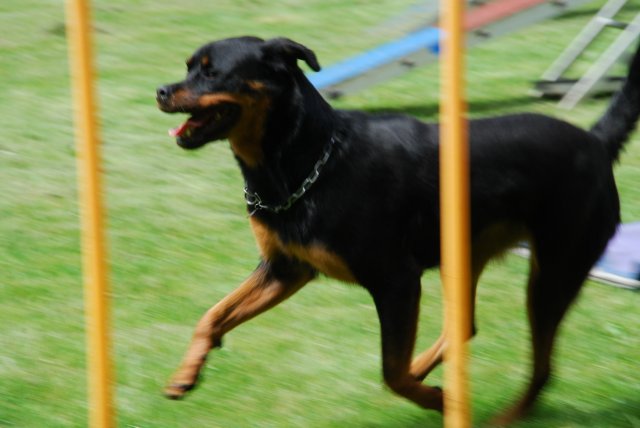 fête du club 18-06-2016