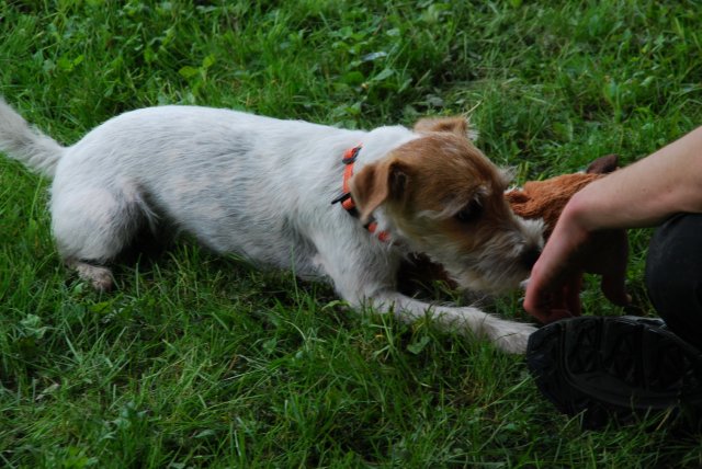 fête du club 18-06-2016