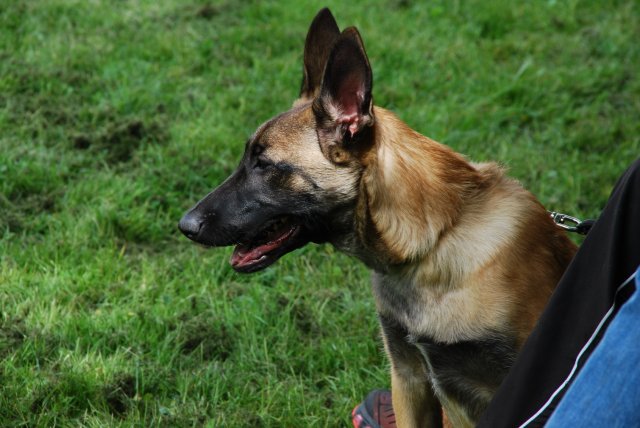 fête du club 18-06-2016