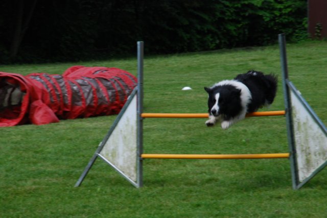 fête du club 18-06-2016