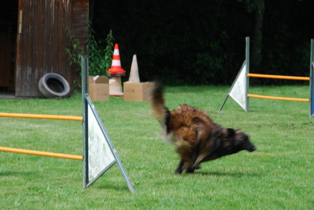 fête du club 18-06-2016