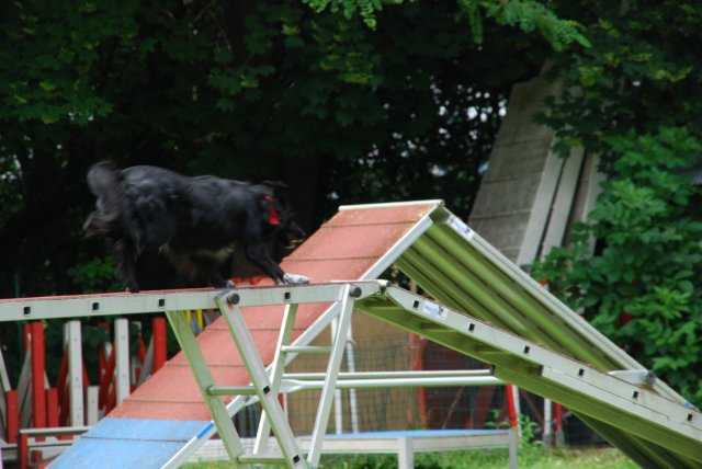 fête du club 18-06-2016