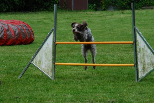 fête du club 18-06-2016