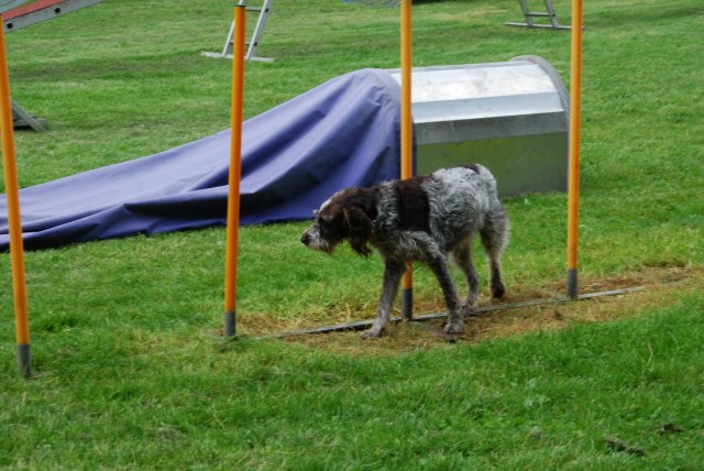 fête du club 18-06-2016