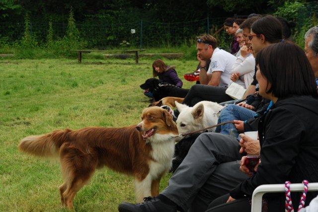 fête du club 18-06-2016