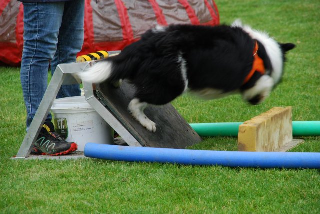 fête du club 18-06-2016