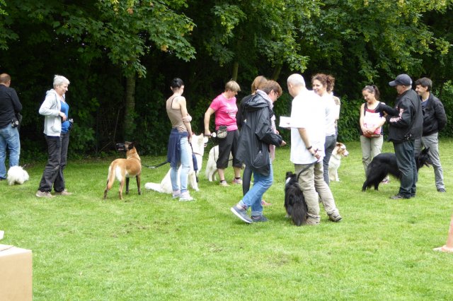 fête du club 18-06-2016