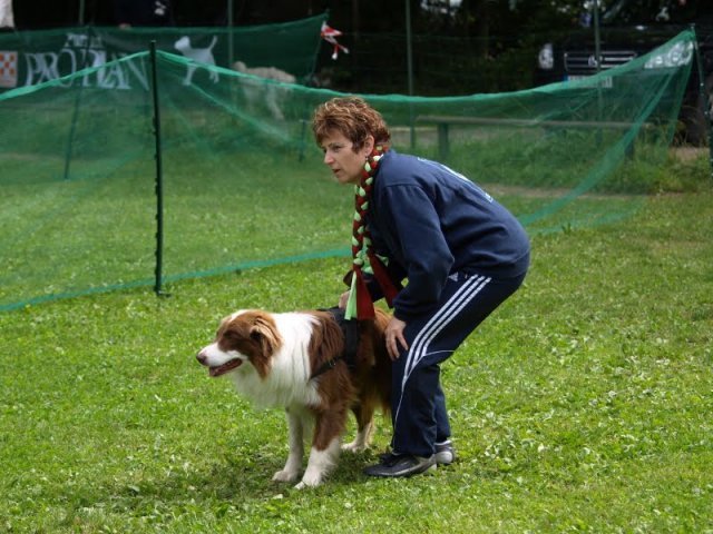 flyball-2009