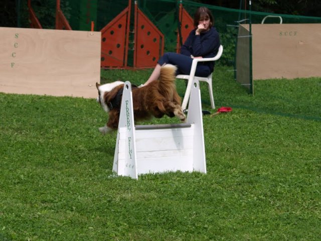 flyball-2009