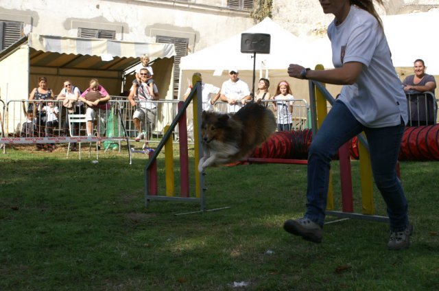 foire aux haricots septembre 2009