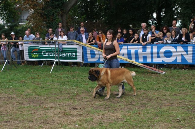 foire aux haricots septembre 2009