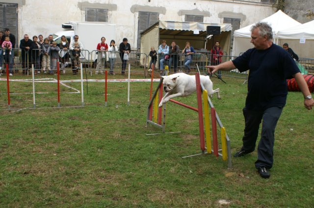 foire aux haricots septembre 2009