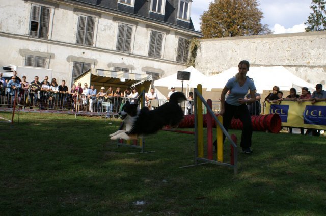 foire aux haricots septembre 2009