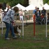 foire aux haricots septembre 2009