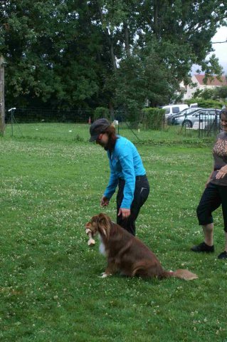 obeissance 2014-08-14