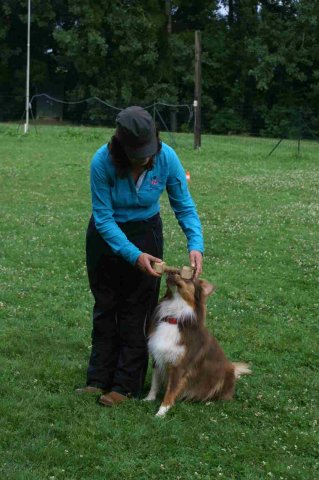 obeissance 2014-08-14