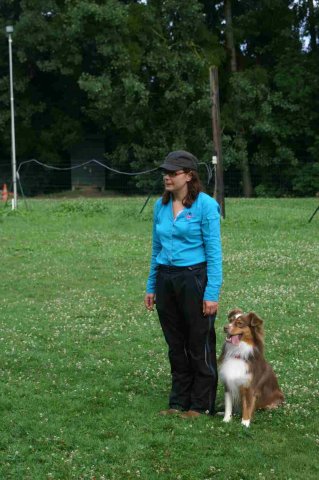 obeissance 2014-08-14