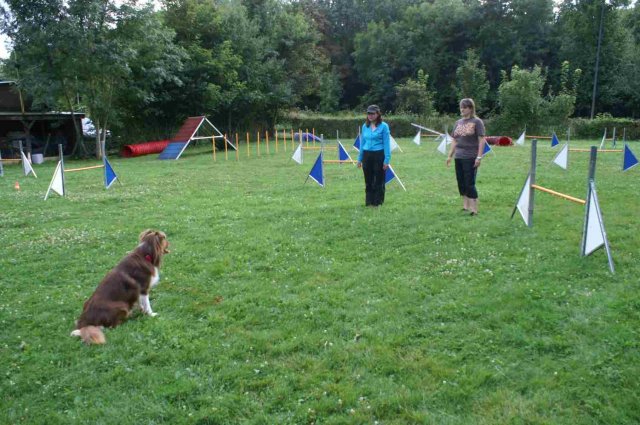 obeissance 2014-08-14